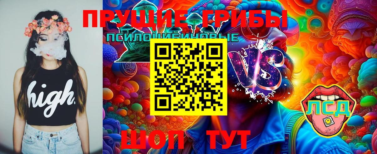 Галлюциногенные грибы Magic Shrooms Тихвин